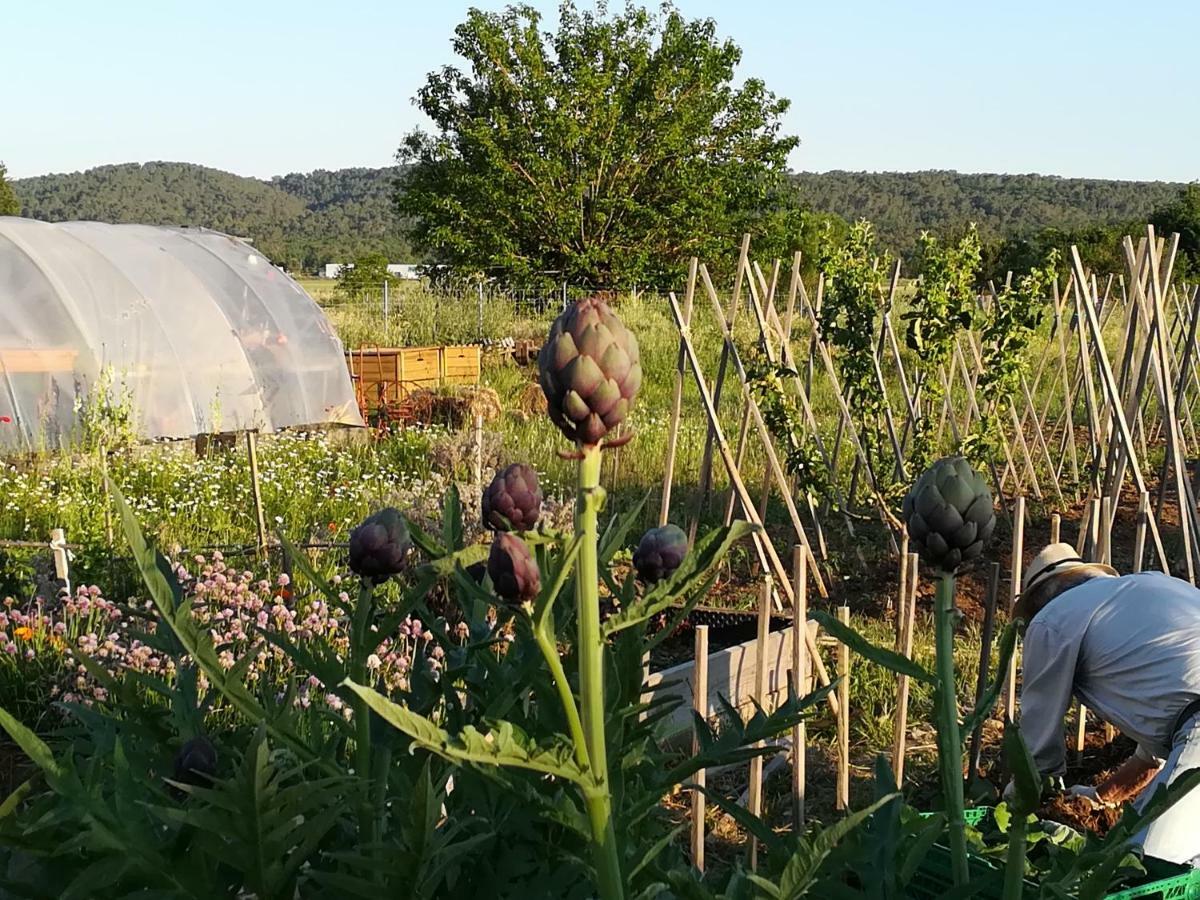 法扬斯La Ferme Constantin别墅 外观 照片